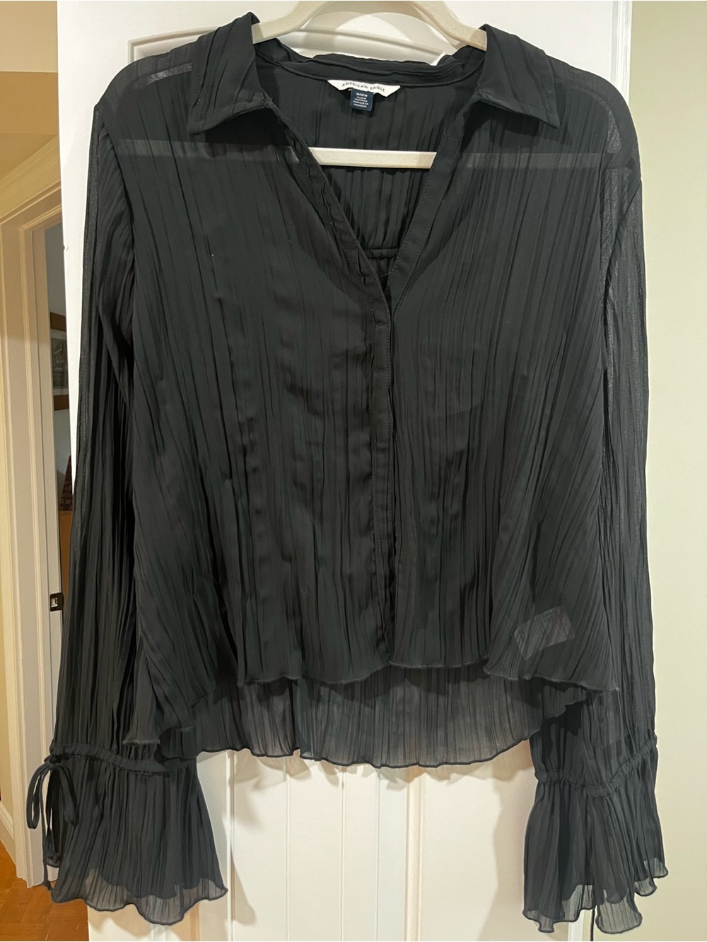 American Eagle Outfitters Black Pleated Sheer Button-Front Blouse